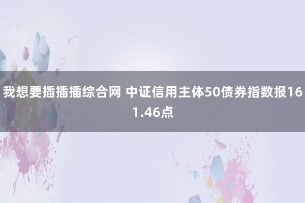 我想要插插插综合网 中证信用主体50债券指数报161.46点