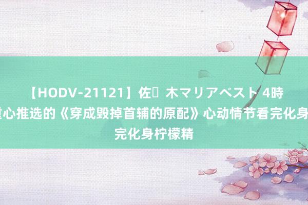 【HODV-21121】佐々木マリアベスト 4時間 划重心推选的《穿成毁掉首辅的原配》心动情节看完化身柠檬精