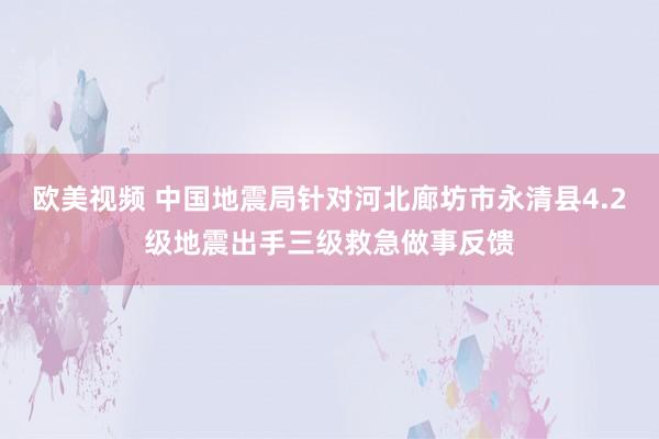 欧美视频 中国地震局针对河北廊坊市永清县4.2级地震出手三级救急做事反馈