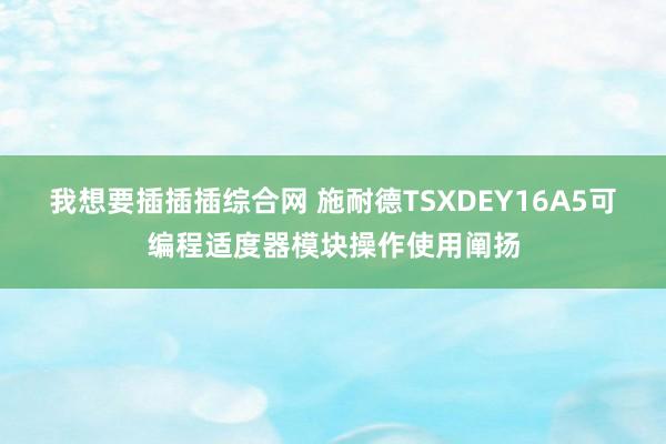 我想要插插插综合网 施耐德TSXDEY16A5可编程适度器模块操作使用阐扬