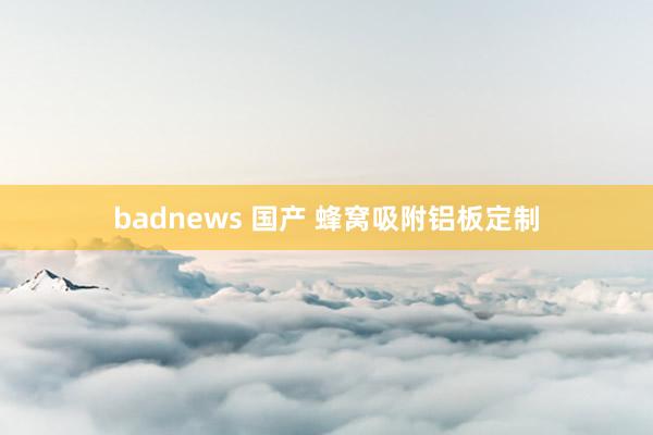 badnews 国产 蜂窝吸附铝板定制