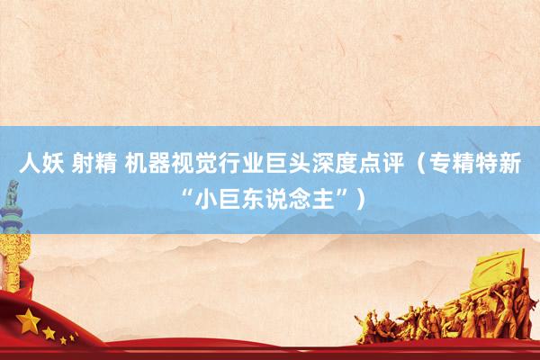 人妖 射精 机器视觉行业巨头深度点评（专精特新“小巨东说念主”）