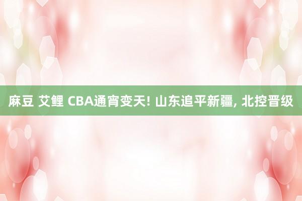 麻豆 艾鲤 CBA通宵变天! 山东追平新疆, 北控晋级