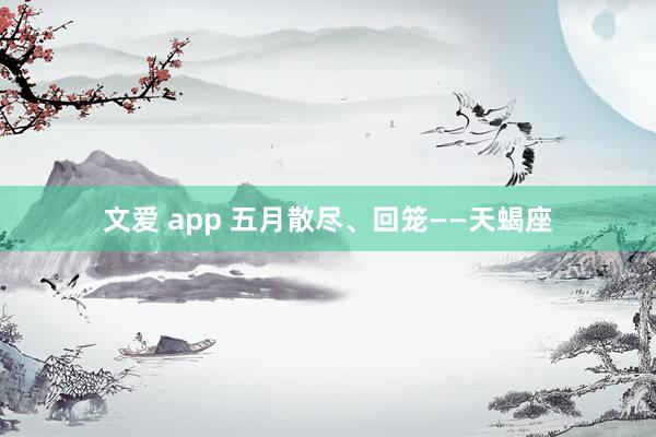 文爱 app 五月散尽、回笼——天蝎座
